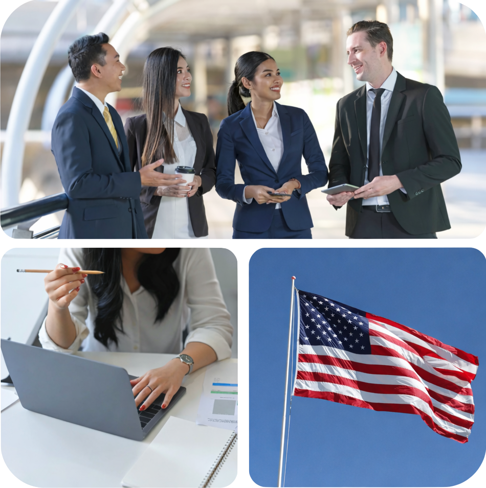 Professional translation services